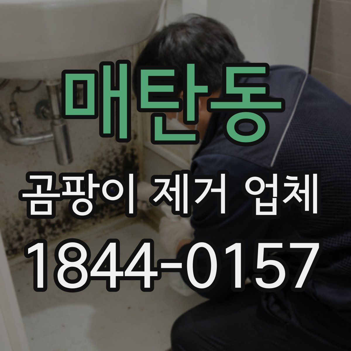 매탄동 곰팡이 제거 업체