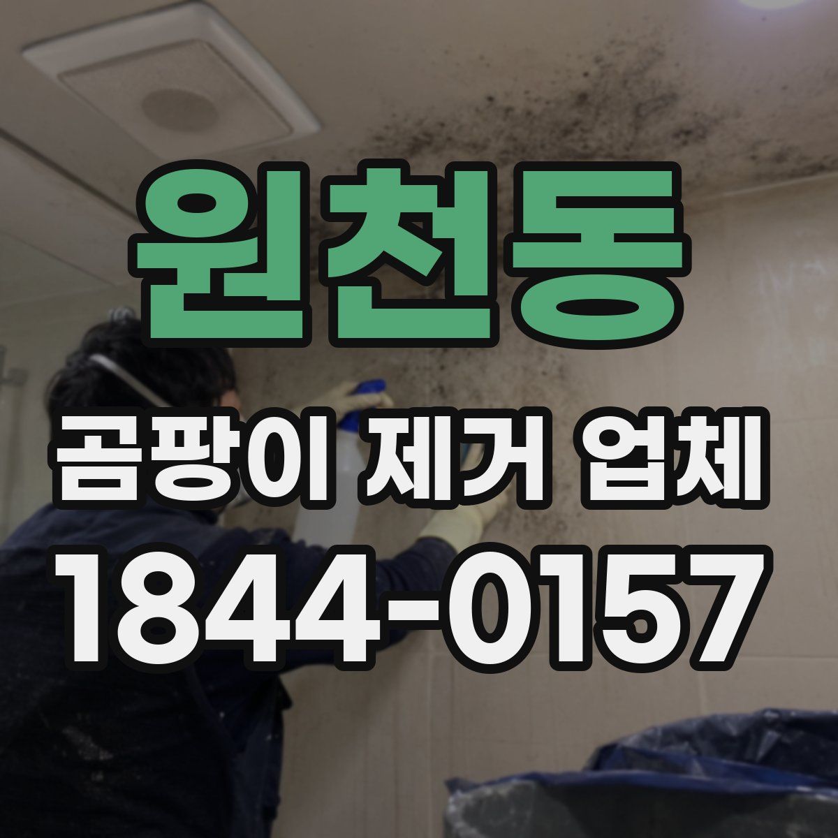 원천동 곰팡이 제거 업체