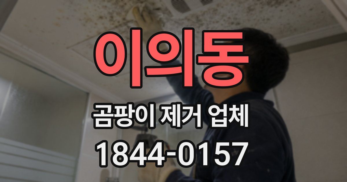 이의동 곰팡이 제거 업체