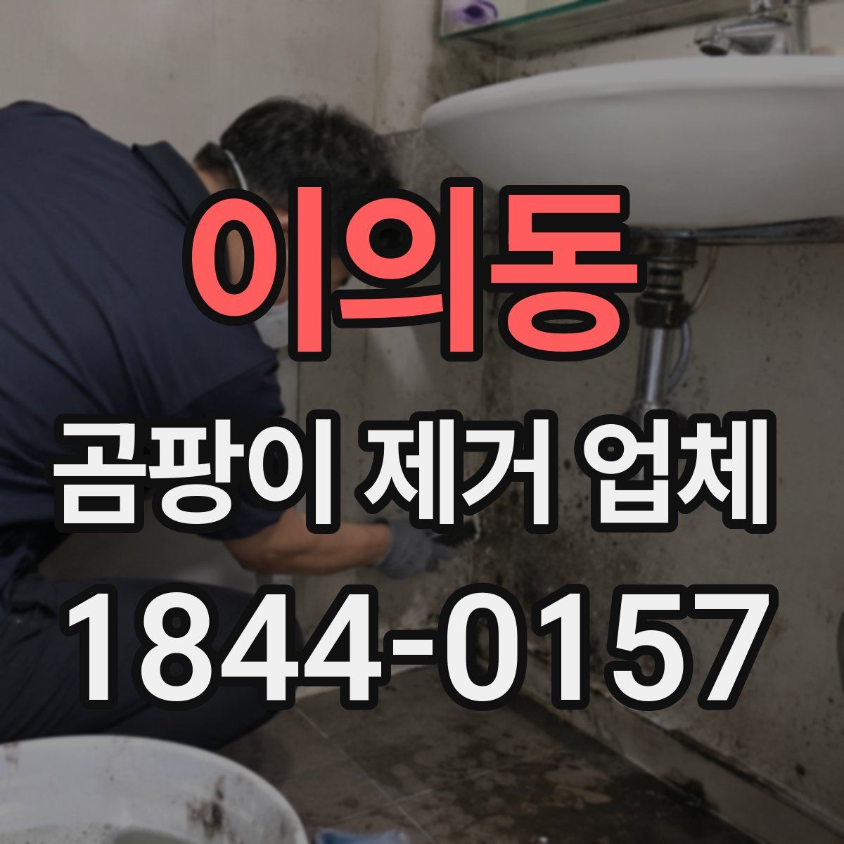 이의동 곰팡이 제거 업체
