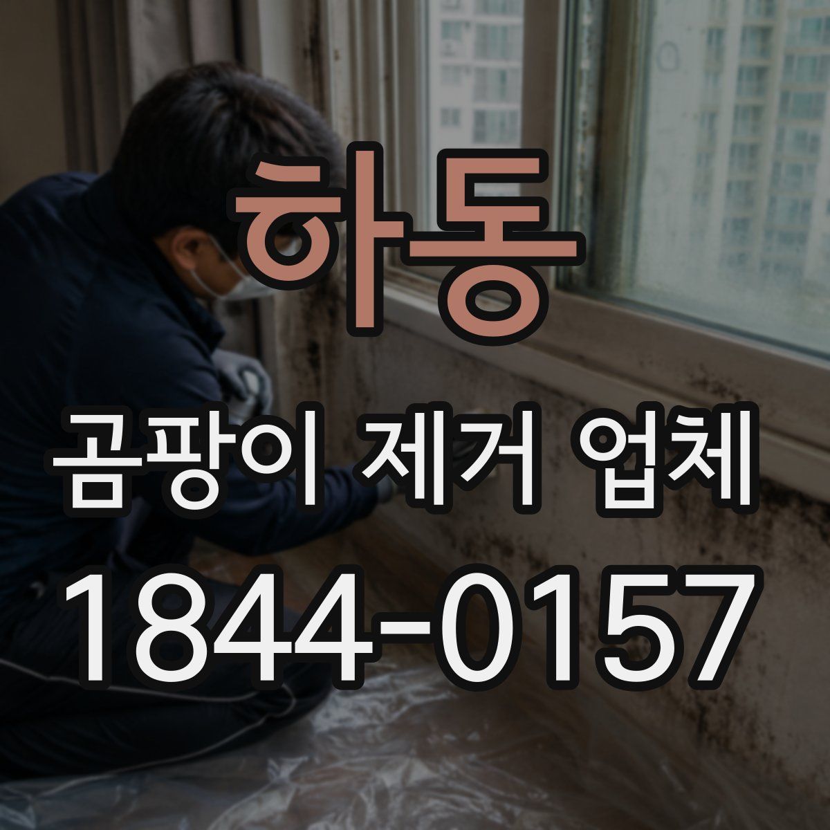 하동 곰팡이 제거 업체