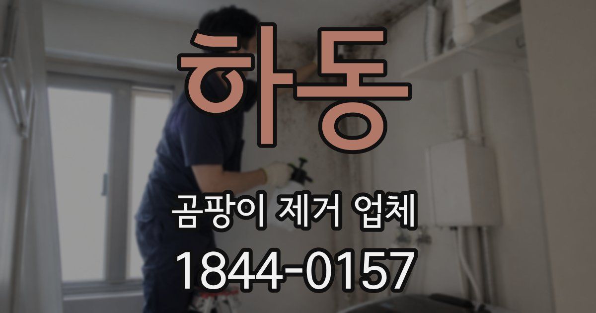 하동 곰팡이 제거 업체