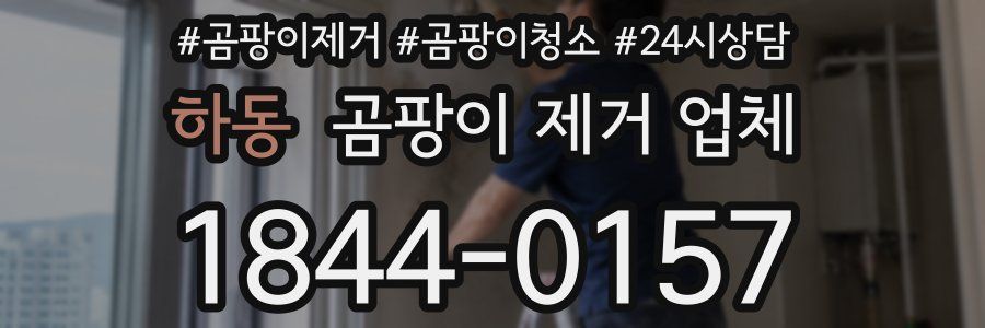 하동 곰팡이 제거 업체