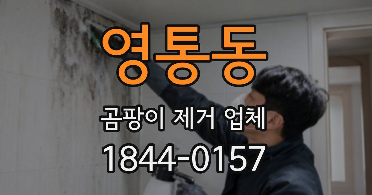영통동 곰팡이 제거 업체