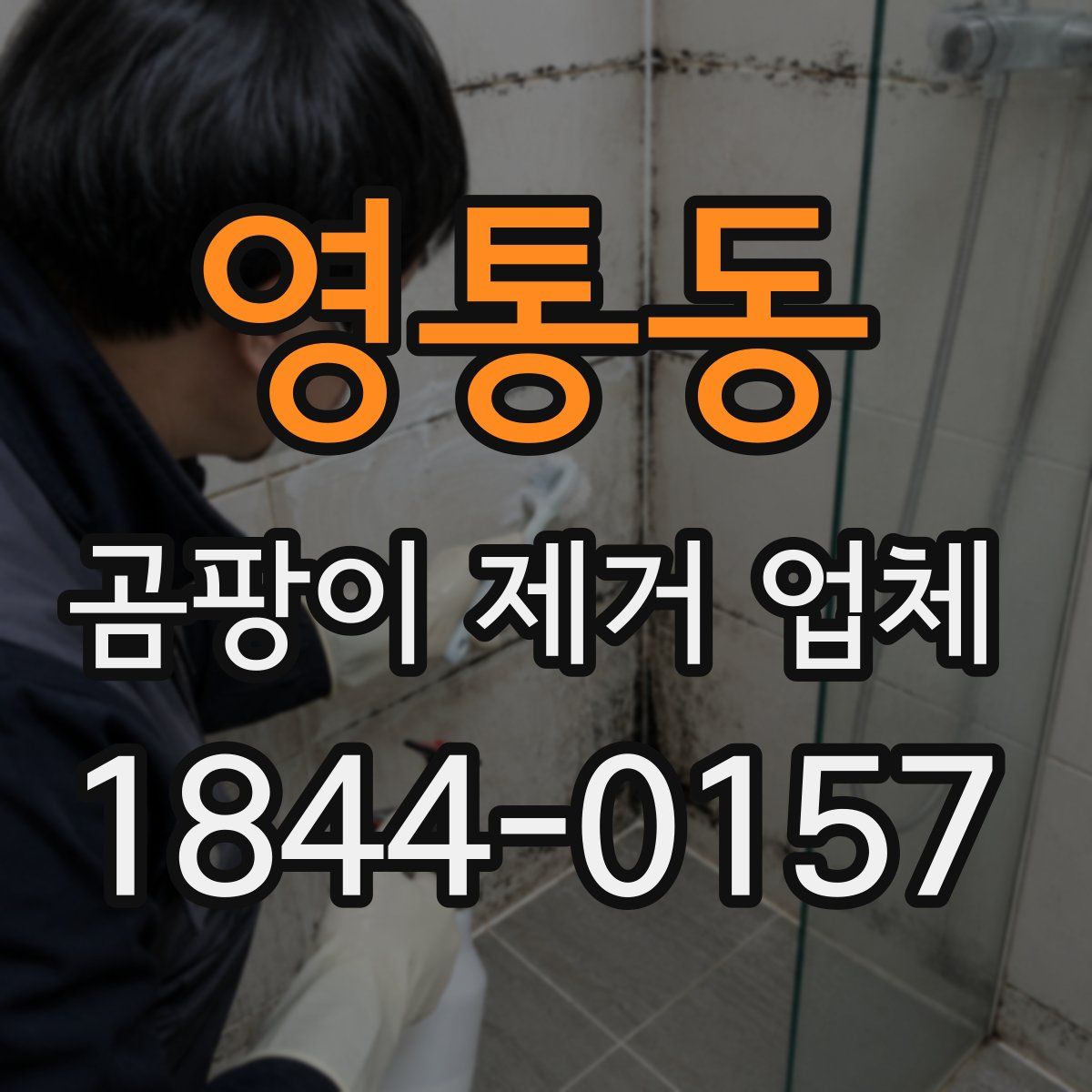 영통동 곰팡이 제거 업체