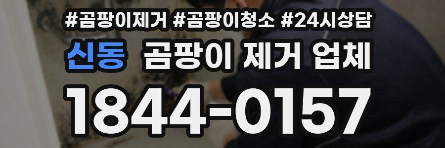 신동 곰팡이 제거 업체