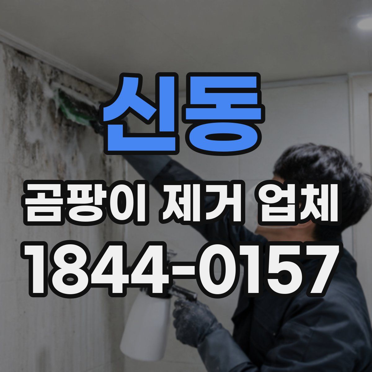 신동 곰팡이 제거 업체