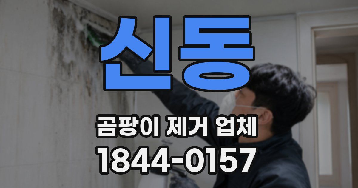 신동 곰팡이 제거 업체