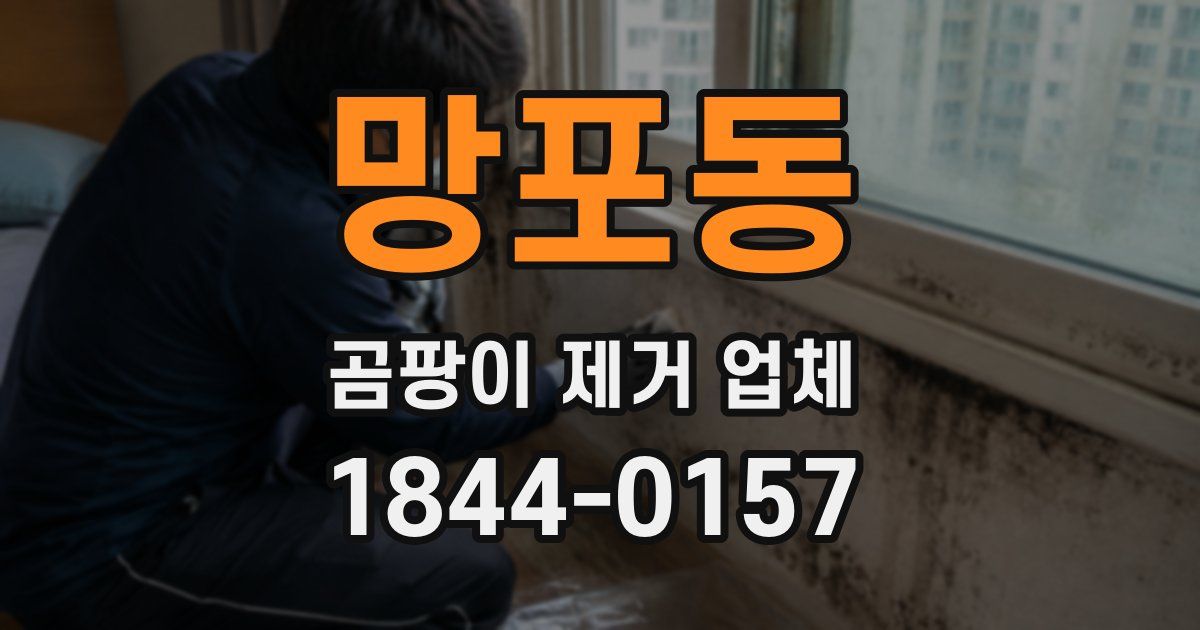 망포동 곰팡이 제거 업체