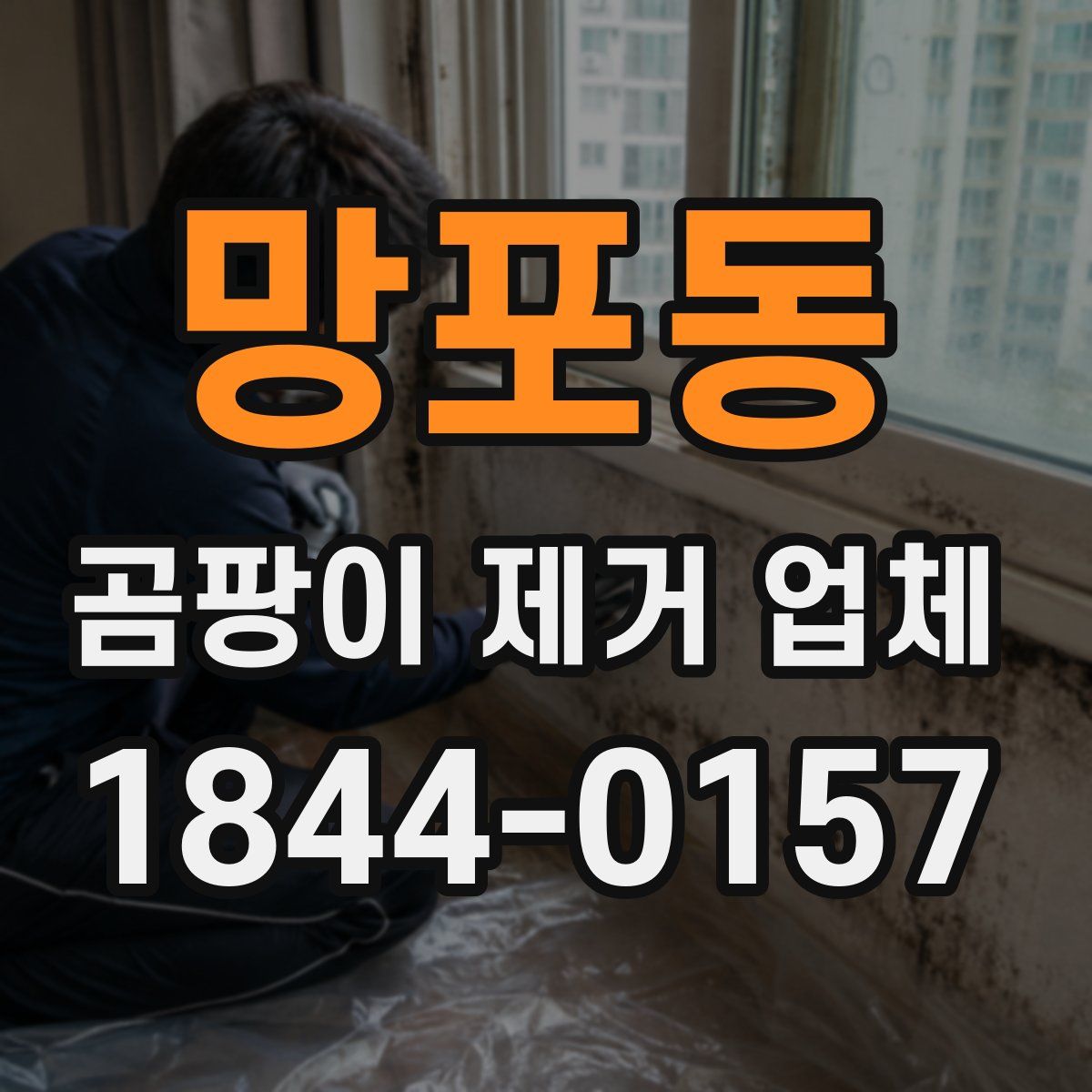 망포동 곰팡이 제거 업체