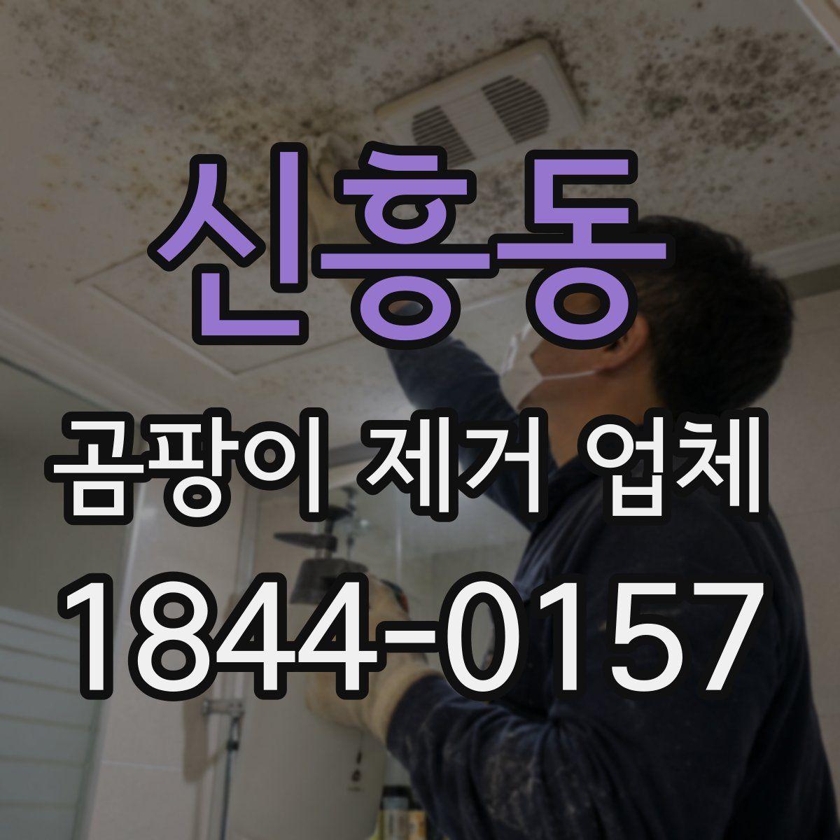 신흥동 곰팡이 제거 업체