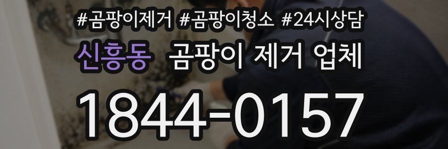 신흥동 곰팡이 제거 업체