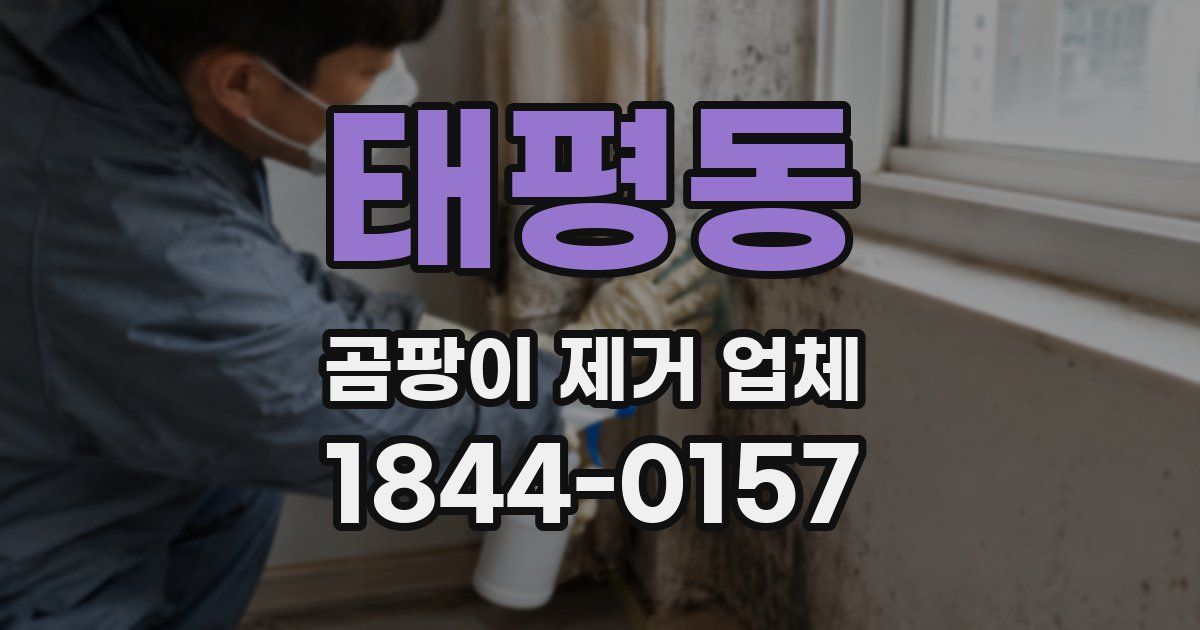 태평동 곰팡이 제거 업체