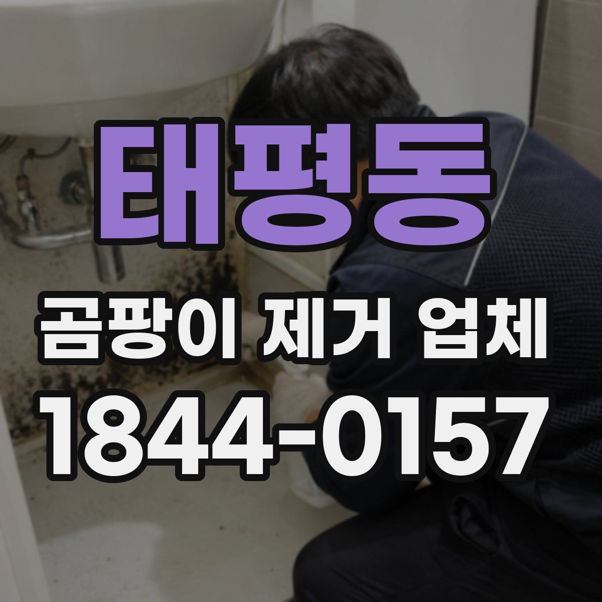 태평동 곰팡이 제거 업체