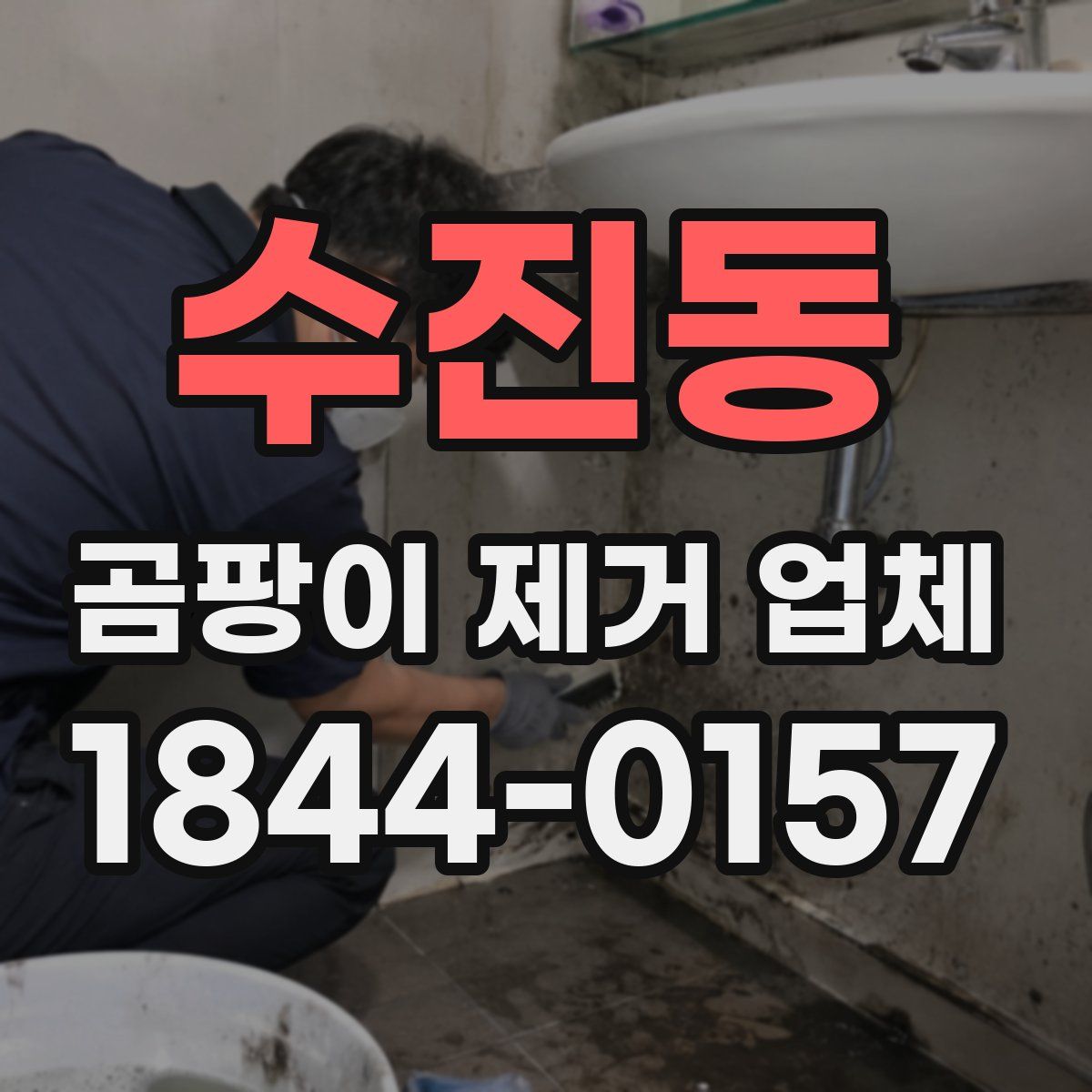 수진동 곰팡이 제거 업체