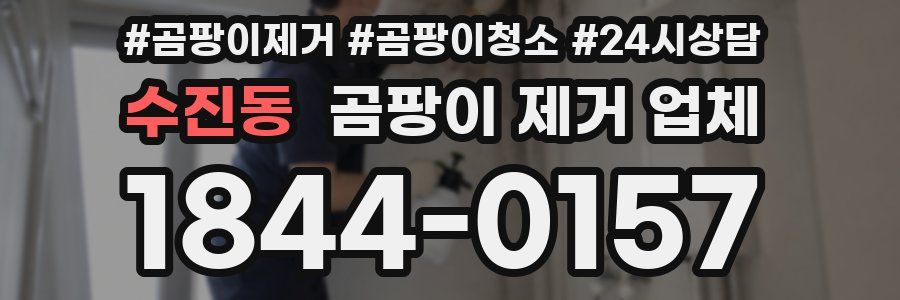 수진동 곰팡이 제거 업체