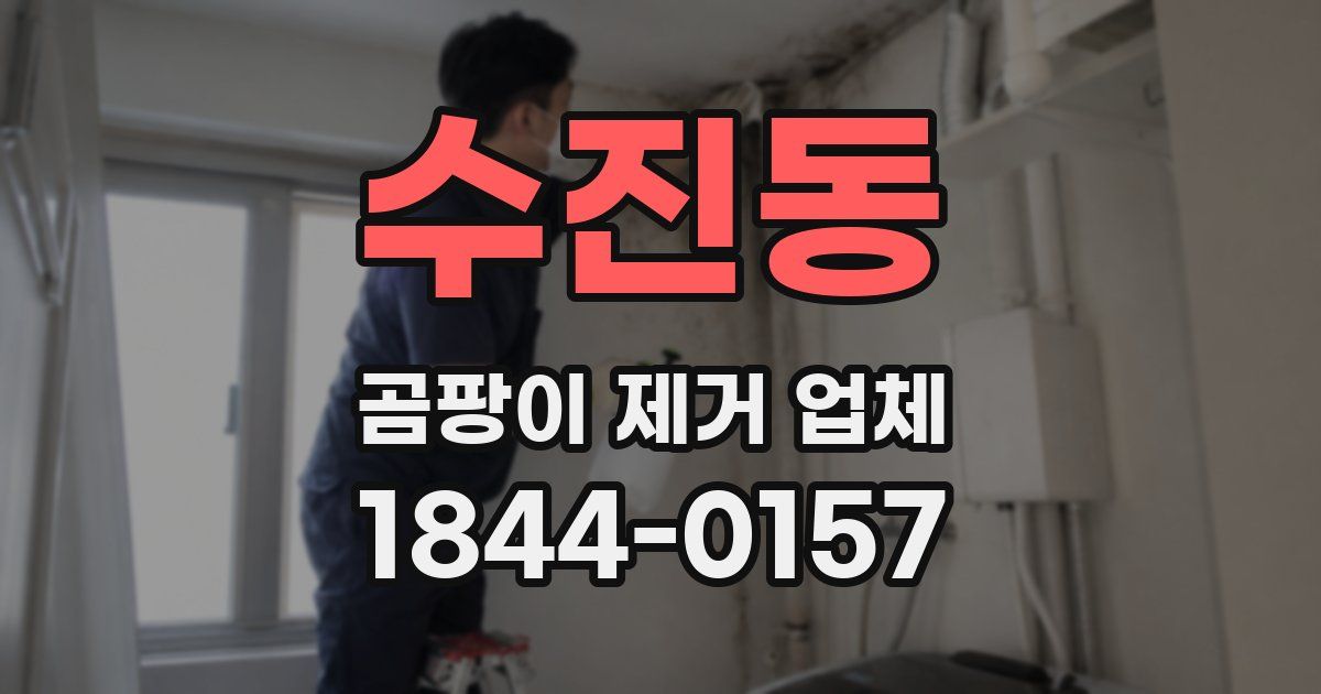 수진동 곰팡이 제거 업체