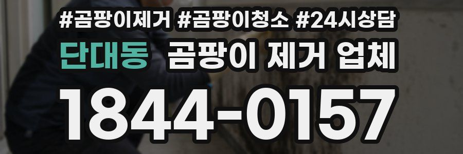 단대동 곰팡이 제거 업체