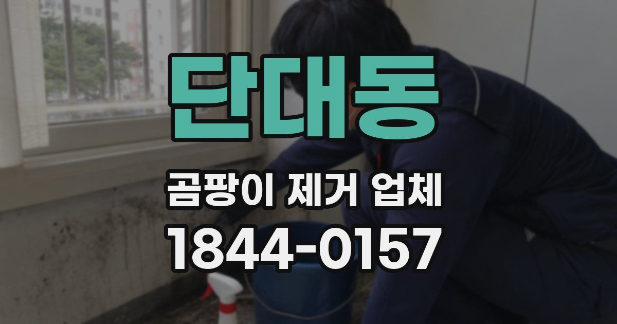 단대동 곰팡이 제거 업체