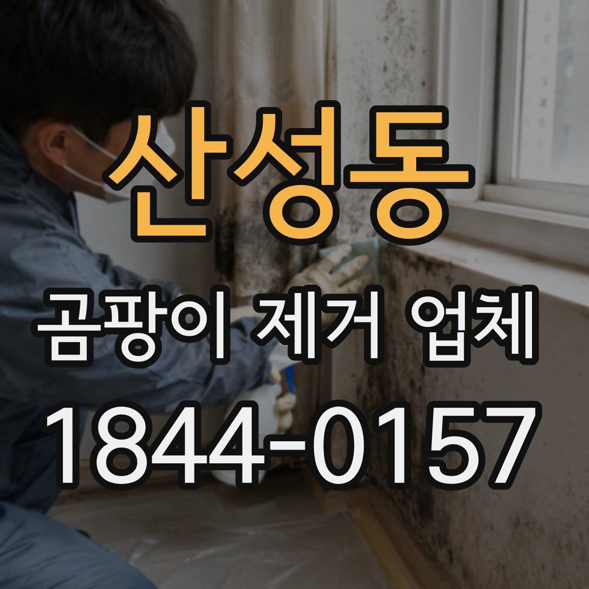 산성동 곰팡이 제거 업체