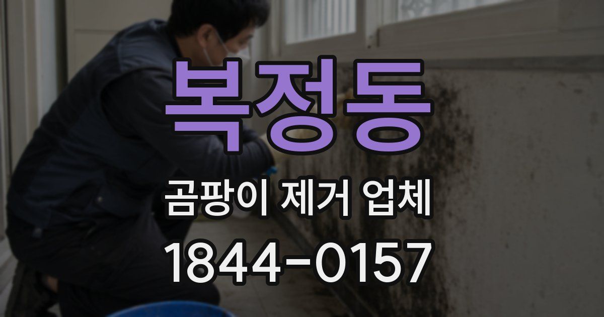 복정동 곰팡이 제거 업체
