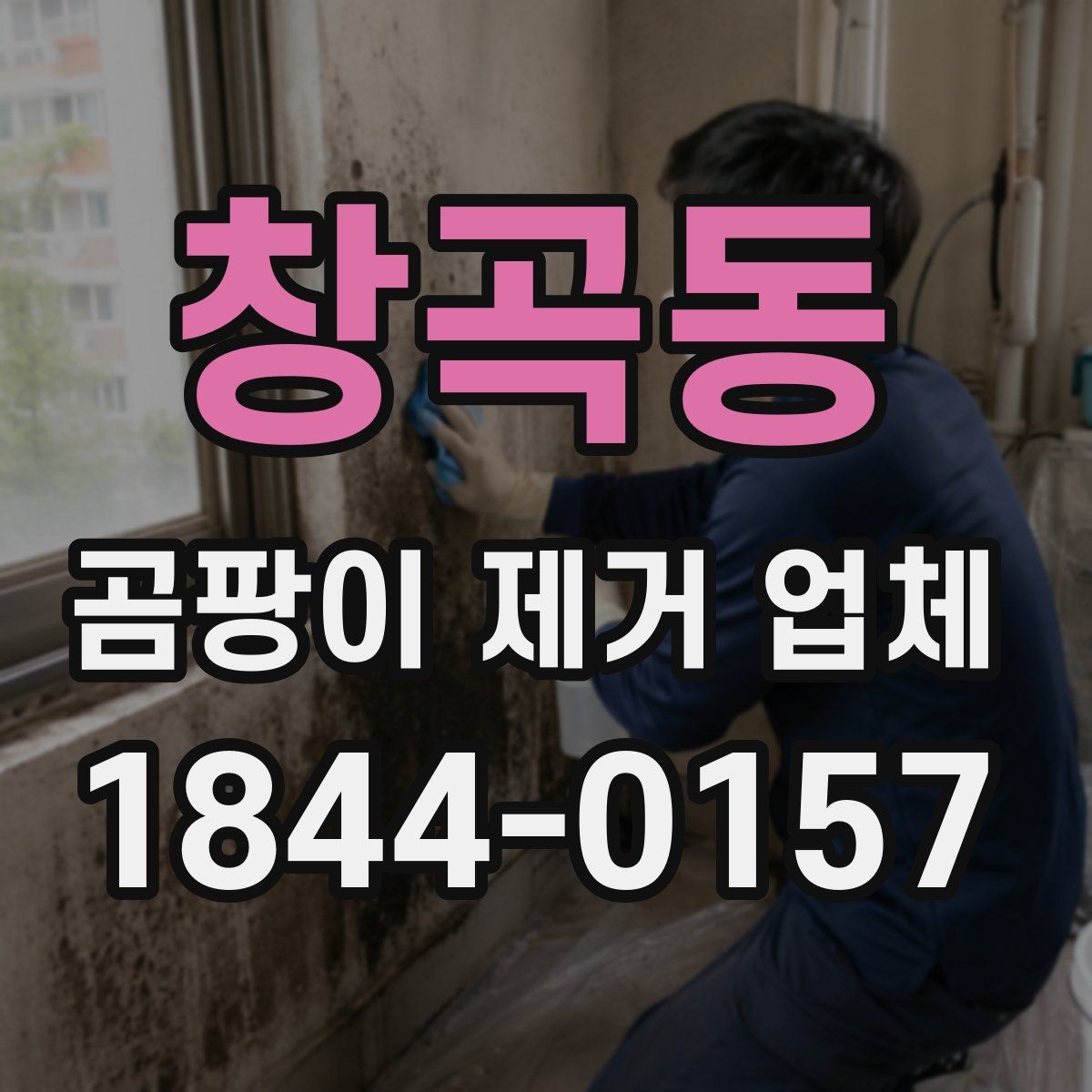 창곡동 곰팡이 제거 업체