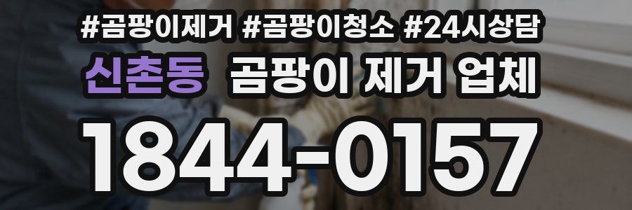 신촌동 곰팡이 제거 업체
