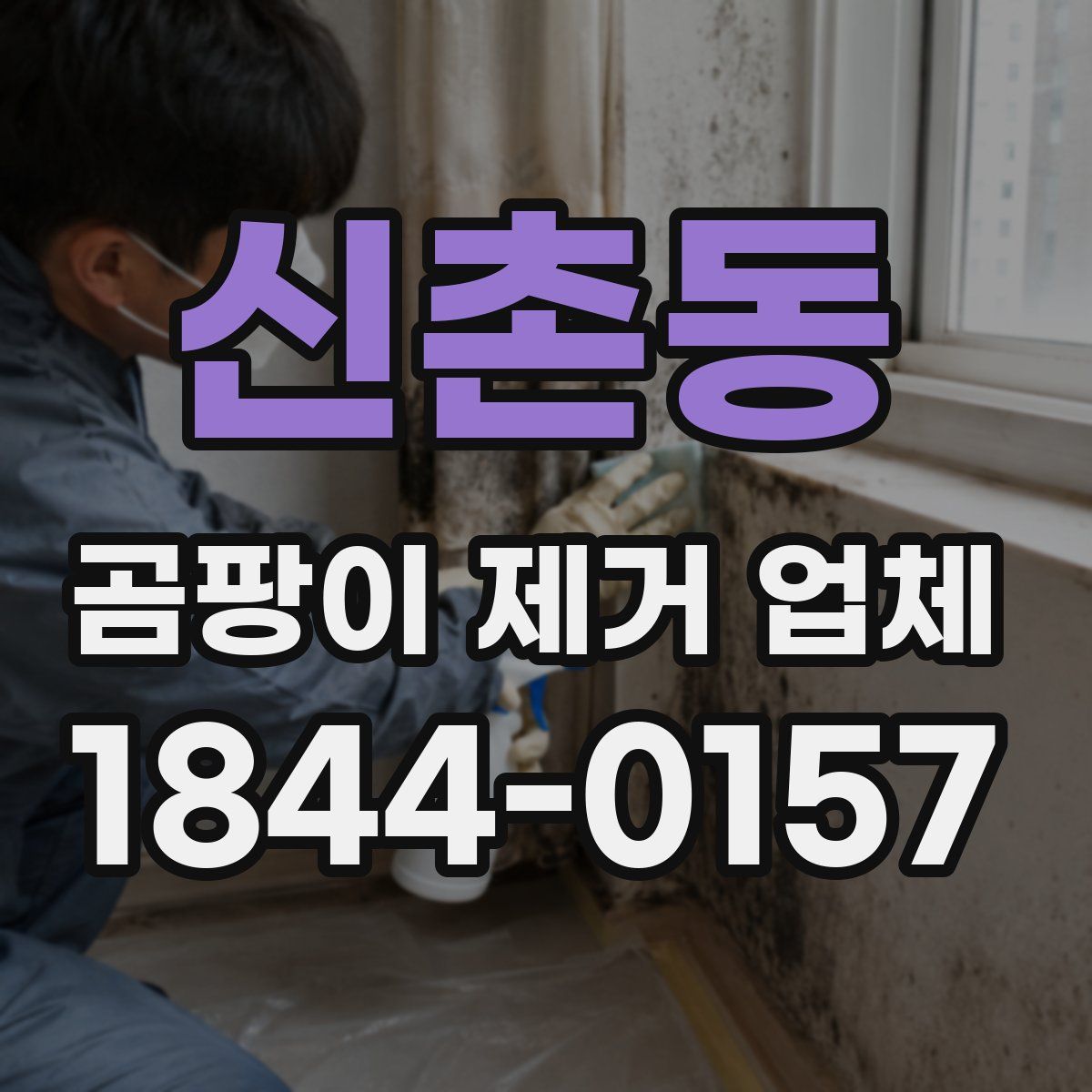 신촌동 곰팡이 제거 업체