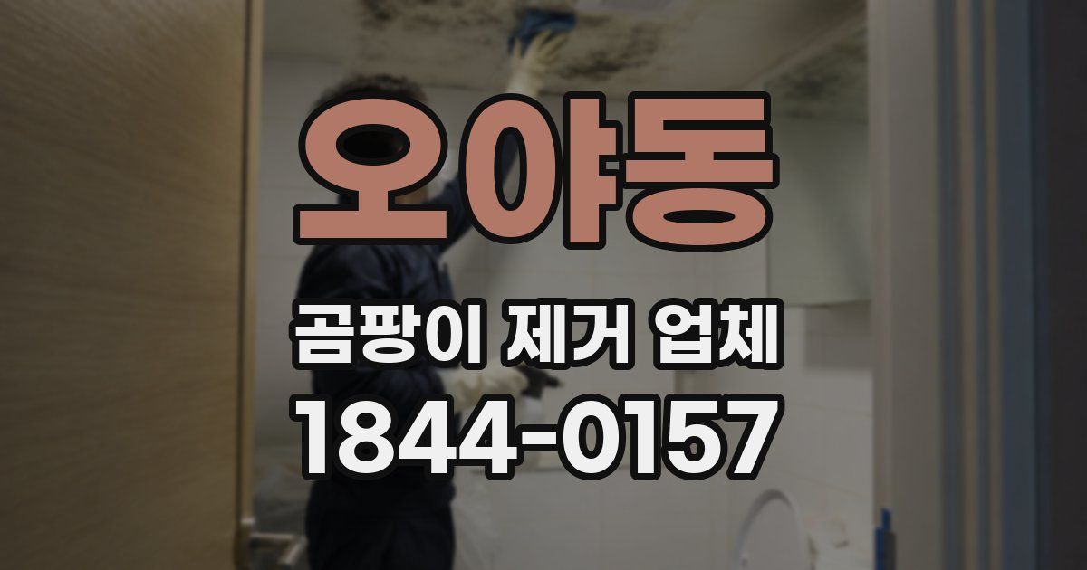 오야동 곰팡이 제거 업체