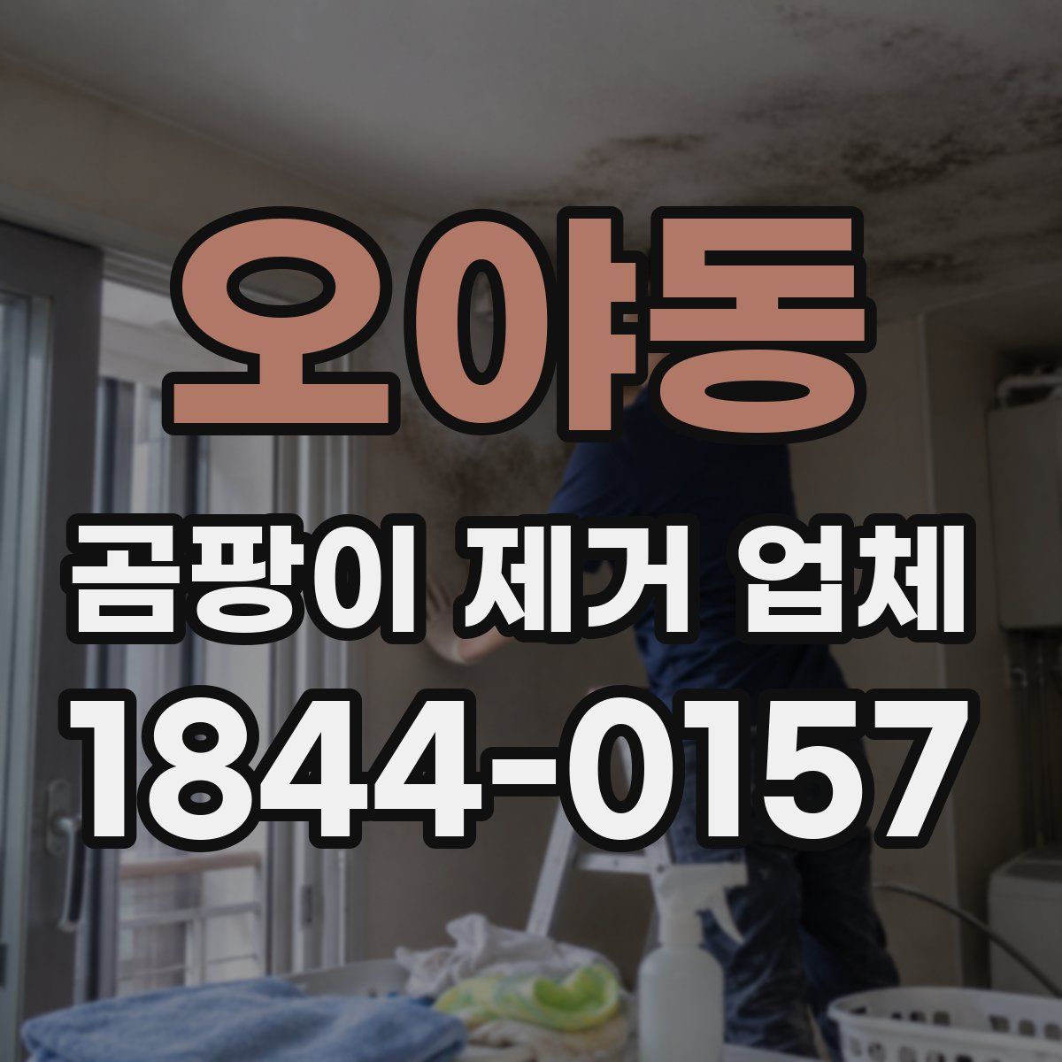 오야동 곰팡이 제거 업체