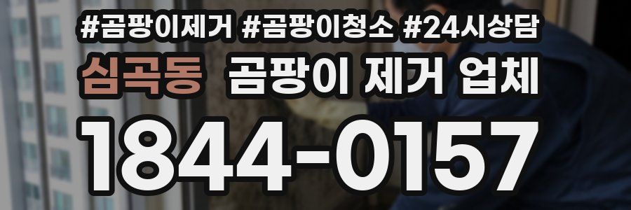 심곡동 곰팡이 제거 업체