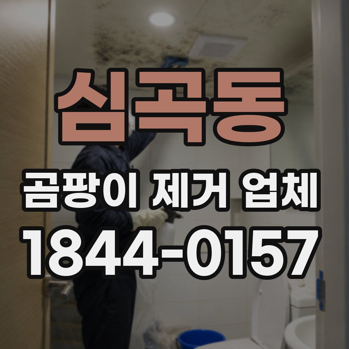 심곡동 곰팡이 제거 업체