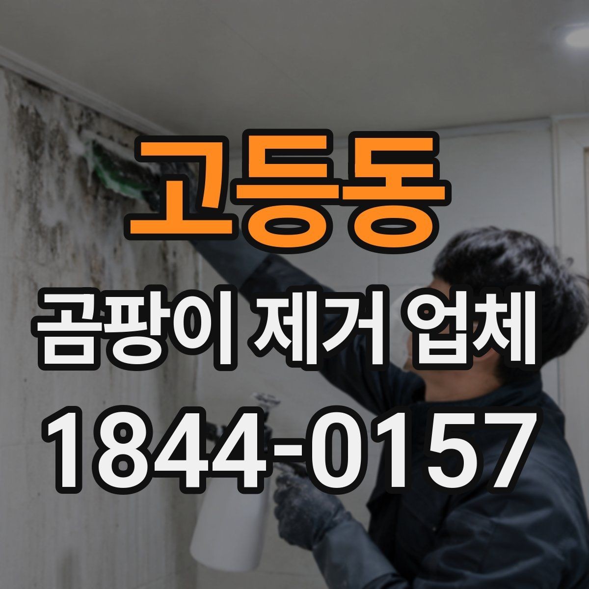 고등동 곰팡이 제거 업체 창틀 실리콘 오염을 확인해야 하는 이유