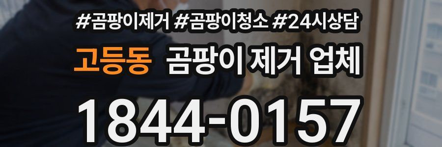 고등동 곰팡이 제거 업체