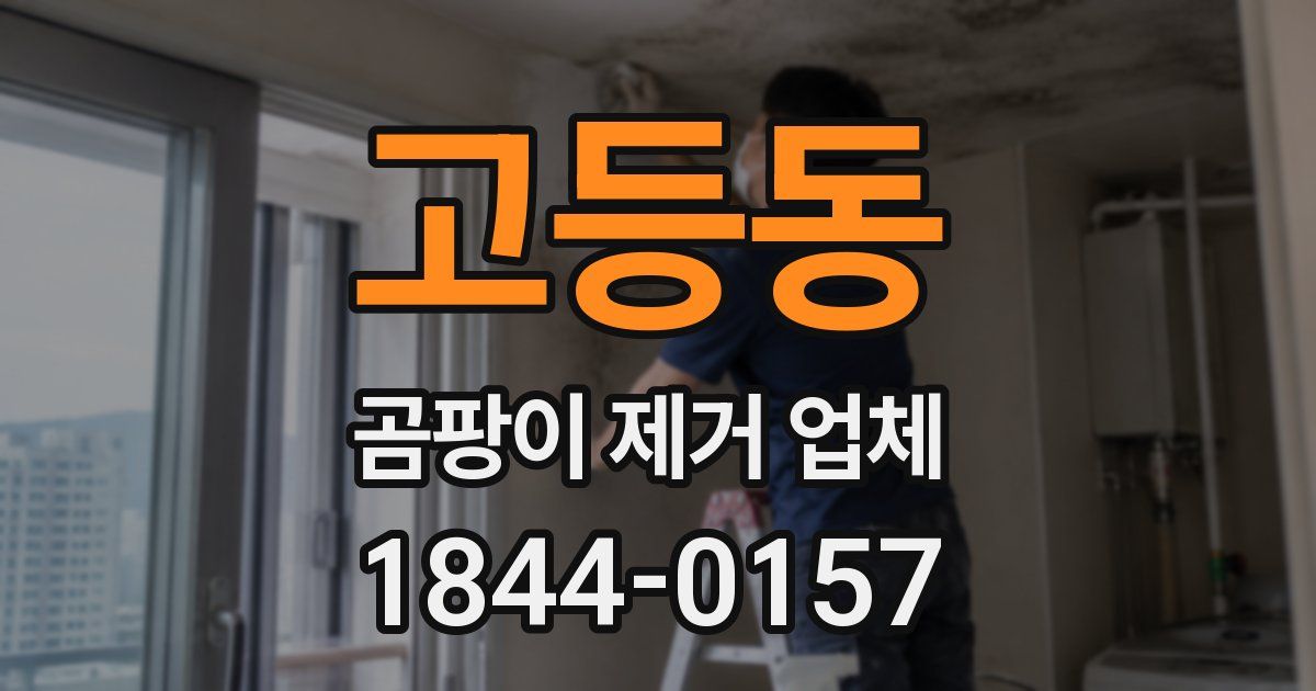 고등동 곰팡이 제거 업체
