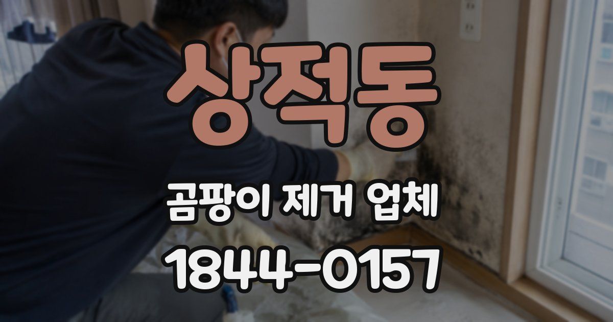 상적동 곰팡이 제거 업체