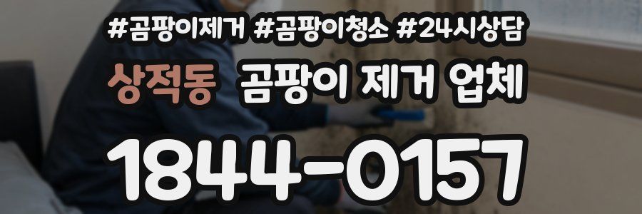 상적동 곰팡이 제거 업체