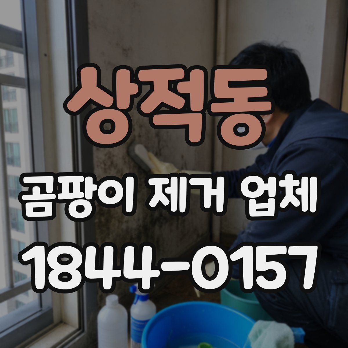 상적동 곰팡이 제거 업체