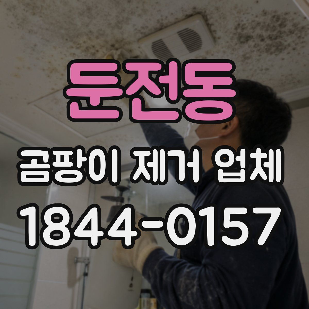 둔전동 곰팡이 제거 업체