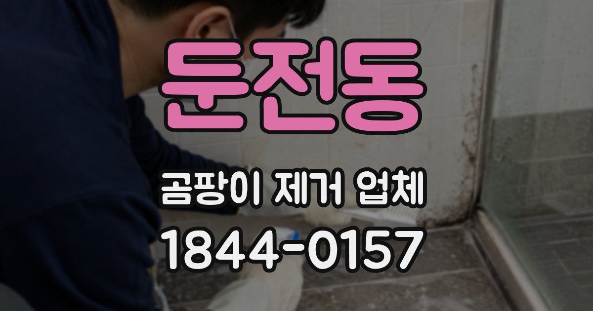 둔전동 곰팡이 제거 업체