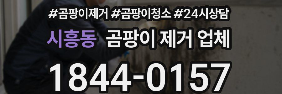 시흥동 곰팡이 제거 업체