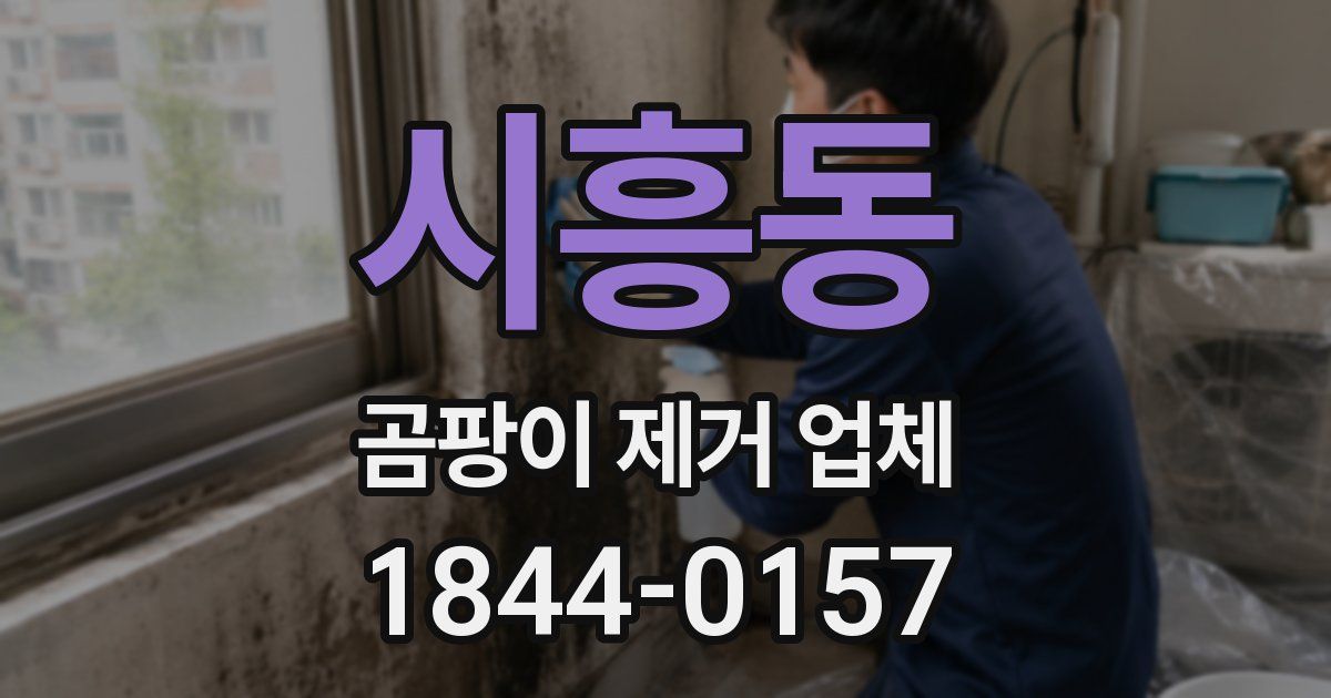 시흥동 곰팡이 제거 업체