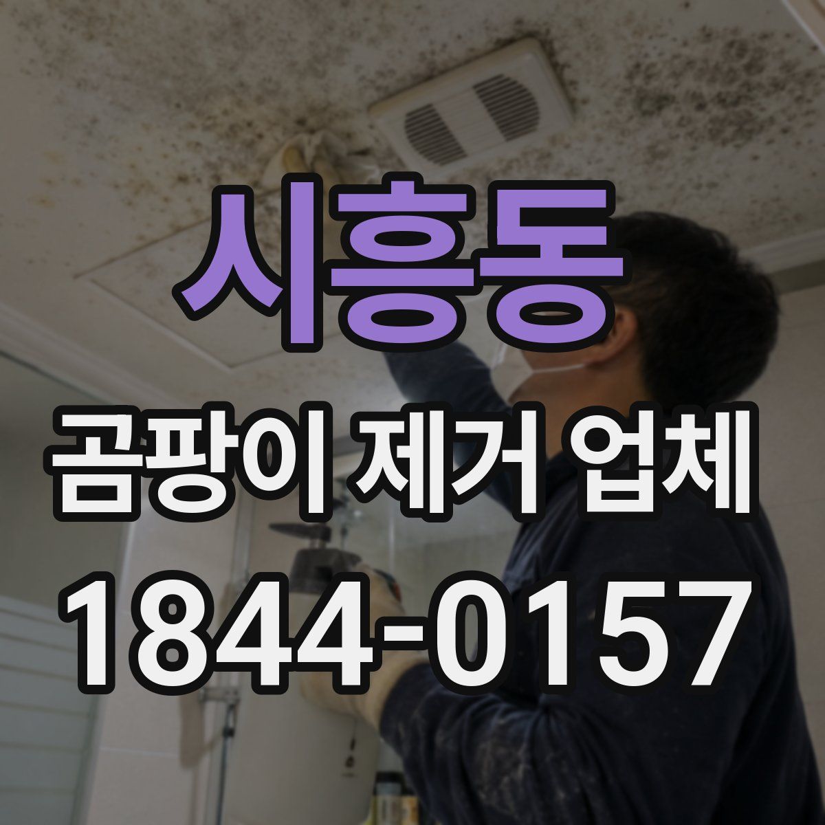 시흥동 곰팡이 제거 업체