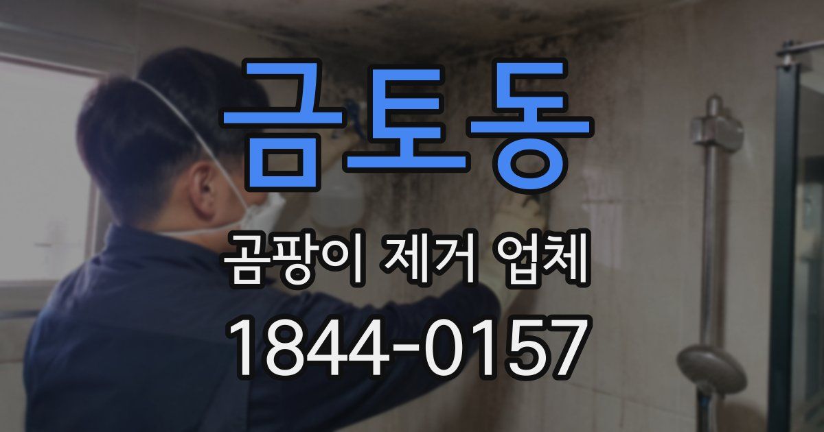 금토동 곰팡이 제거 업체