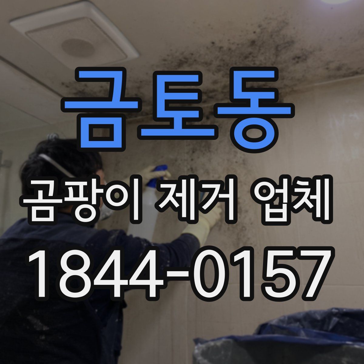 금토동 곰팡이 제거 업체