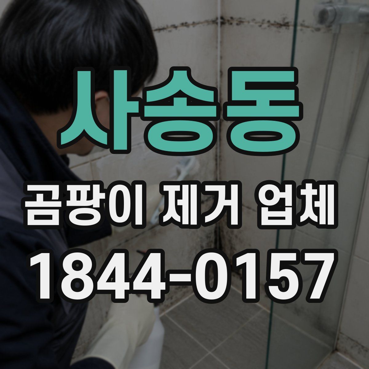 사송동 곰팡이 제거 업체