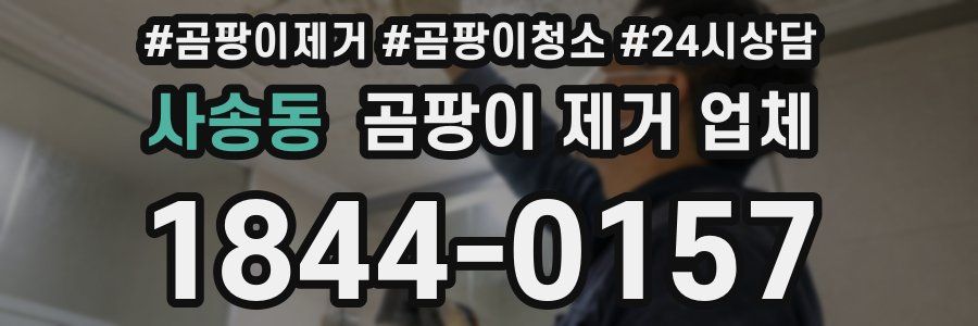 사송동 곰팡이 제거 업체