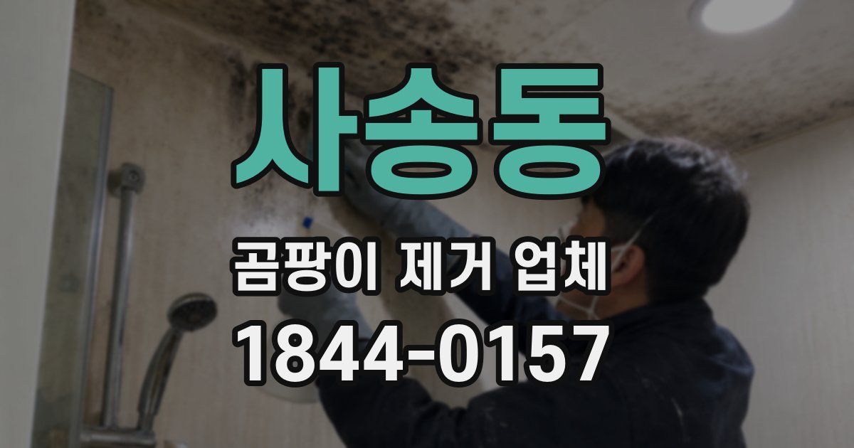 사송동 곰팡이 제거 업체