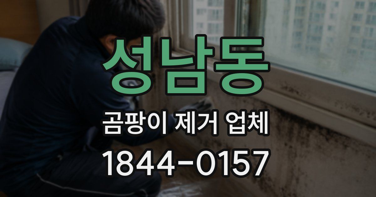 성남동 곰팡이 제거 업체