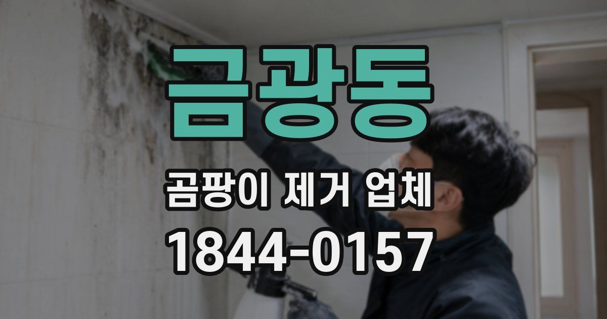 금광동 곰팡이 제거 업체